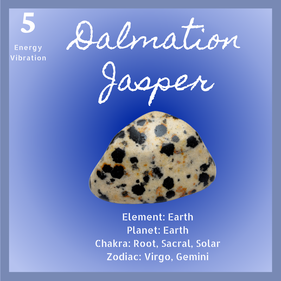 Dalmation Jasper "Crystal Companion"