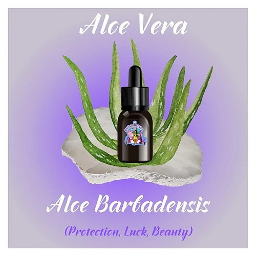 Aloe_Vera_Oil1