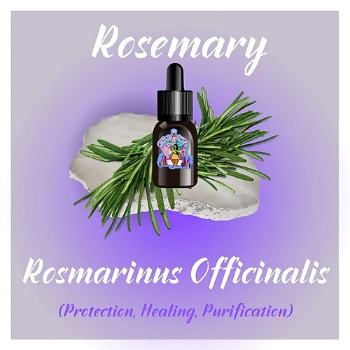 RosemaryEssentialOil7